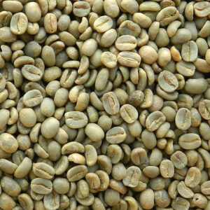 Fancy Brazil Santos Green Coffee