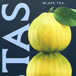 Stash Double Bergamot Earl Grey Tea Bags