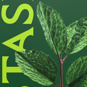 Stash Refreshing Peppermint Herbal Tea
