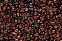 Blends and Dark Roasts
